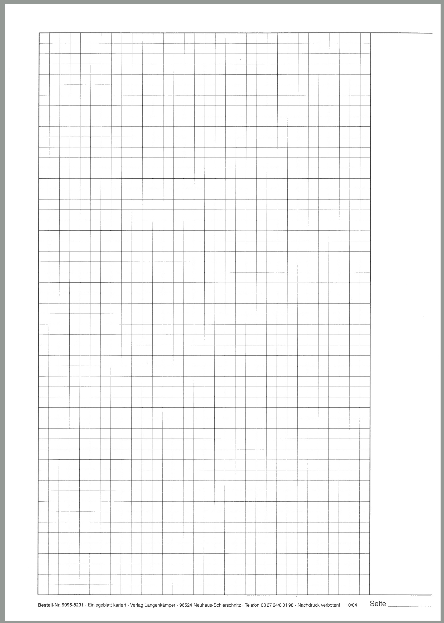 Einlegeblatt kariert