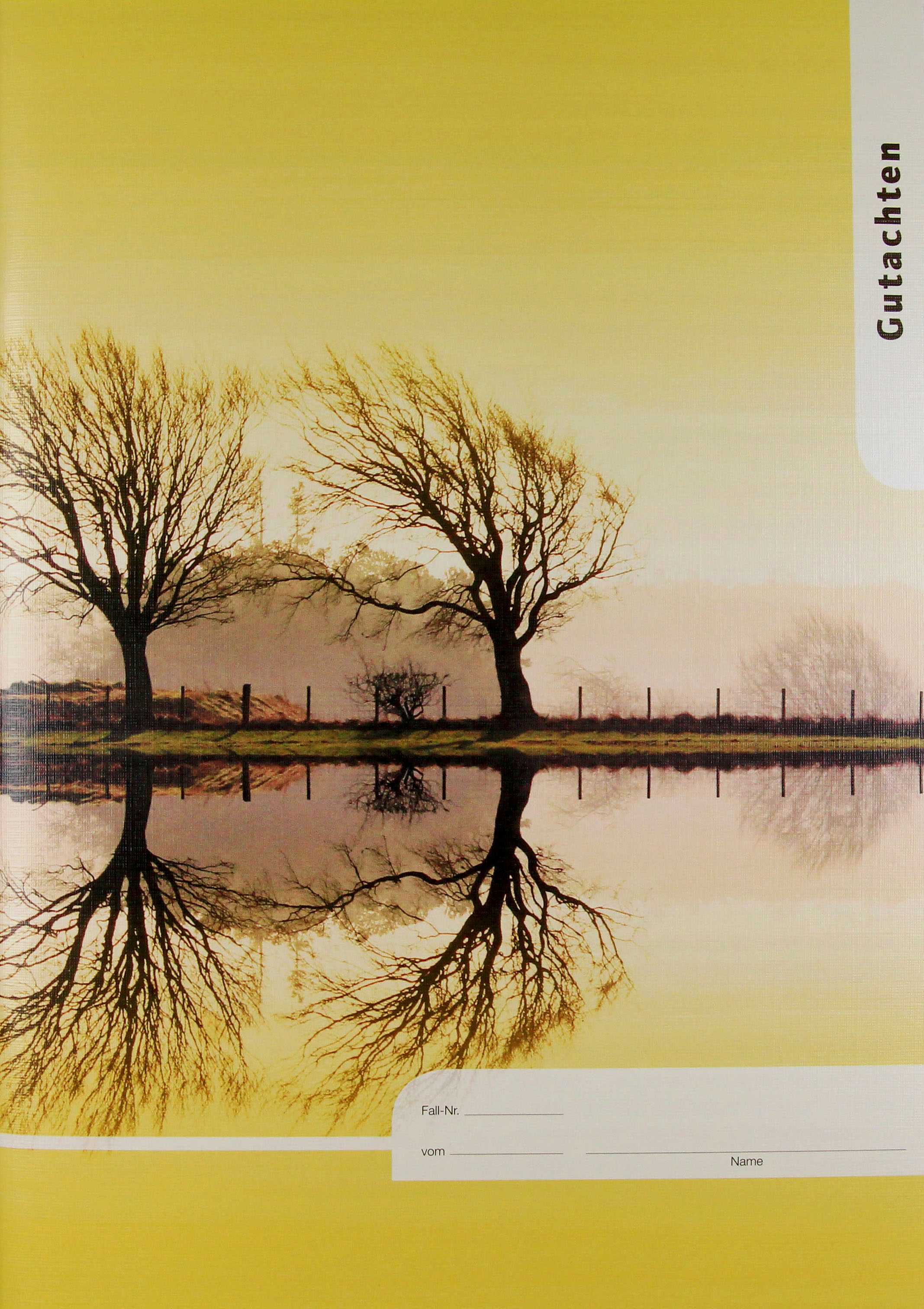 Leitfaden Faktensammlung Sonderpädag.Gutachten