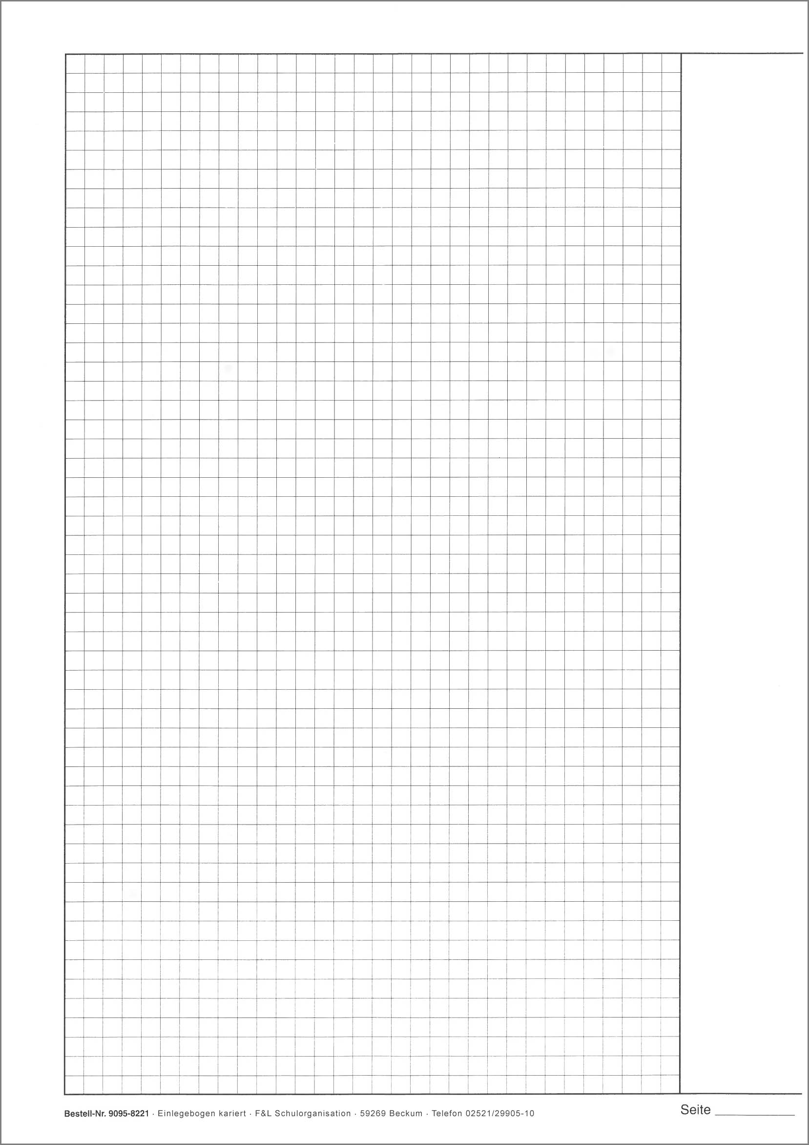 Klausurbogen Einlegebogen, kariert